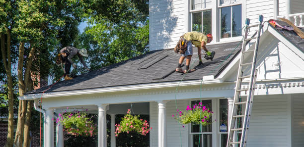 Best Roof Gutter Cleaning  in Maine, WI